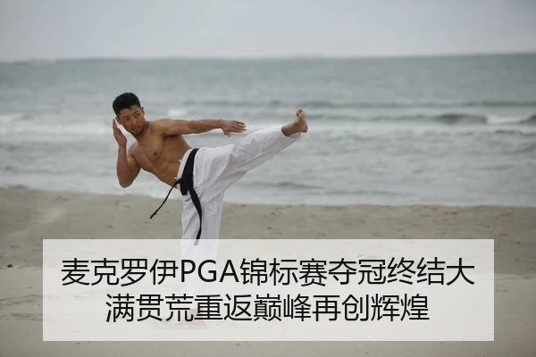 mai-ke-luo-yi-jin-biao-sai-duo-guan-zhong-jie-da-man-guan-huang-chong-fan-dian-feng-zai-chuang-hui-huang-2-498.jpg